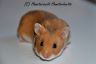 DSC_0725 Kopie.jpg